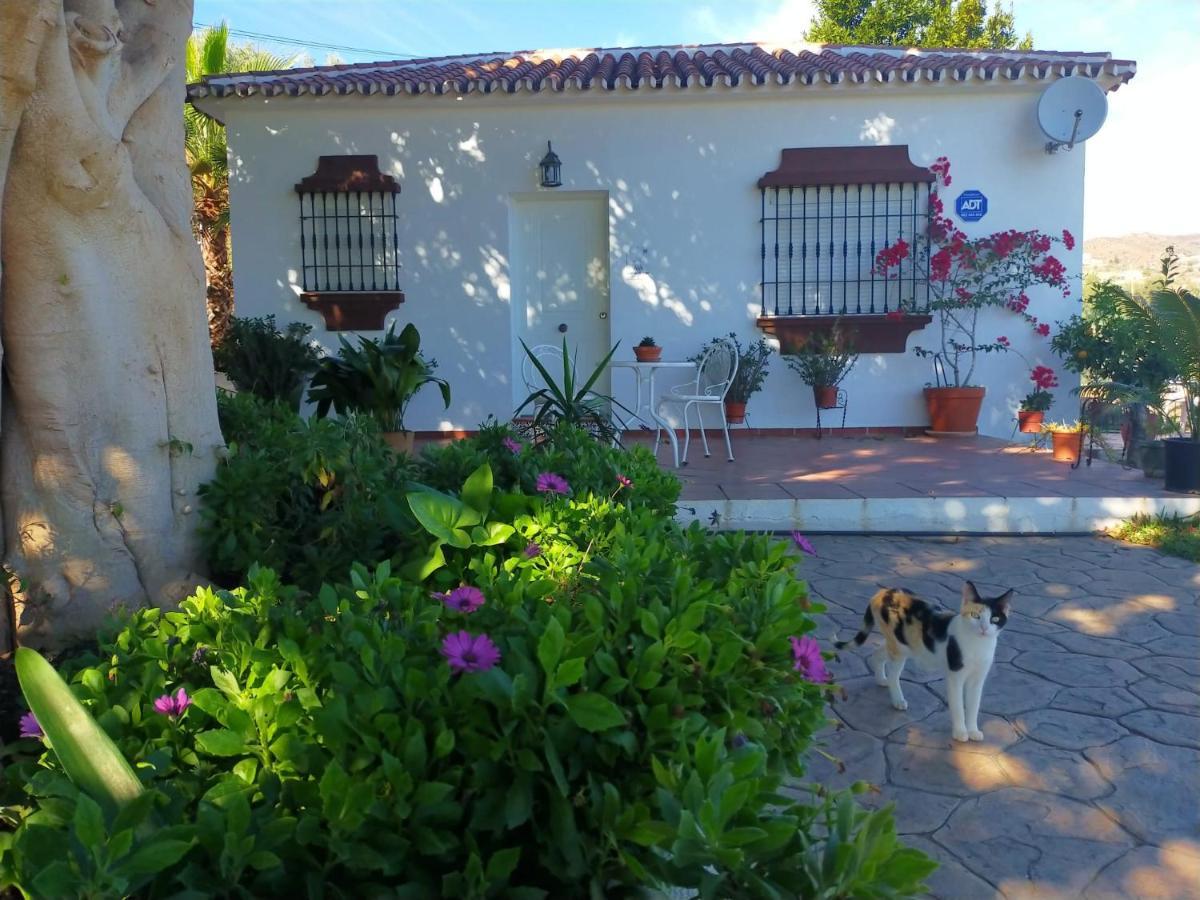 Paraje El Pozo Malaga Exterior photo